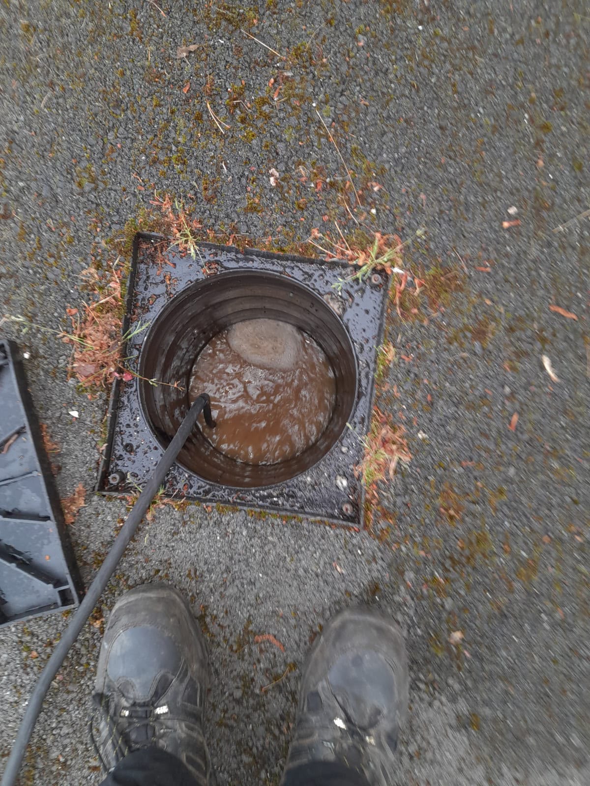 Blocked drain inspection
